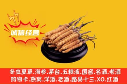 版纳回收冬虫夏草